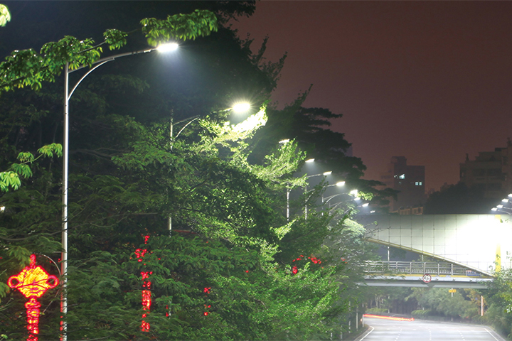 深圳寶安大道路燈項(xiàng)目.jpg